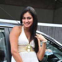 Haripriya New Photo Shoot - Pictures | Picture 115624